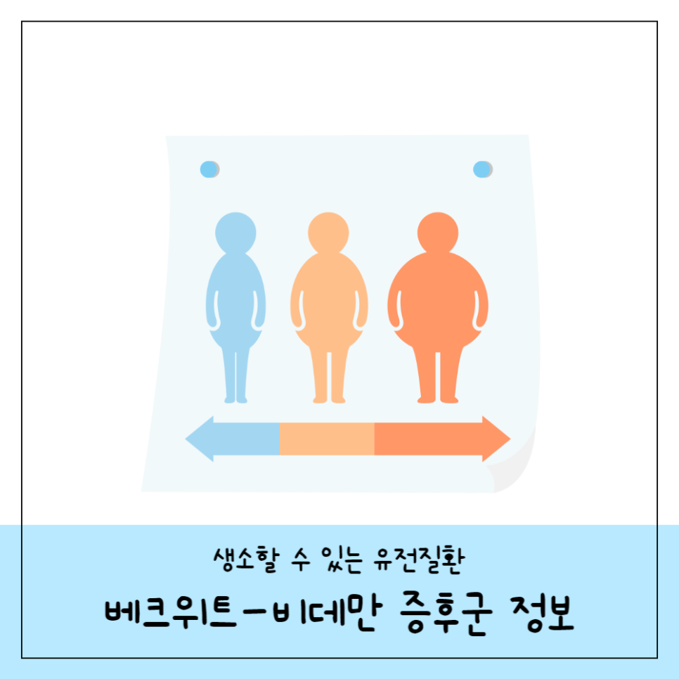 대한베크 이미지