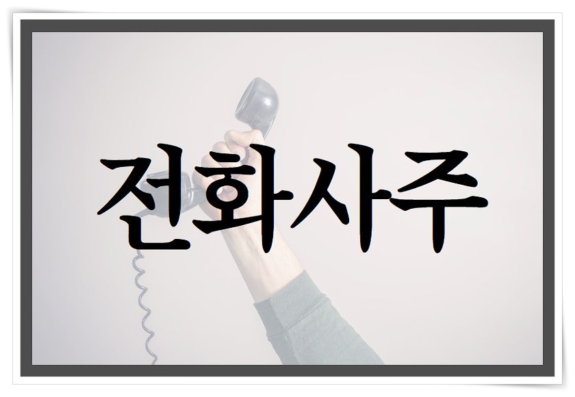 양지사주 이미지