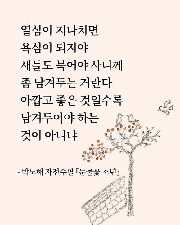 꽃소년 이미지