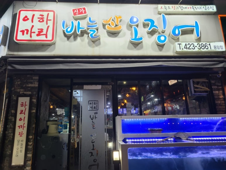 신가바늘산오징어 이미지