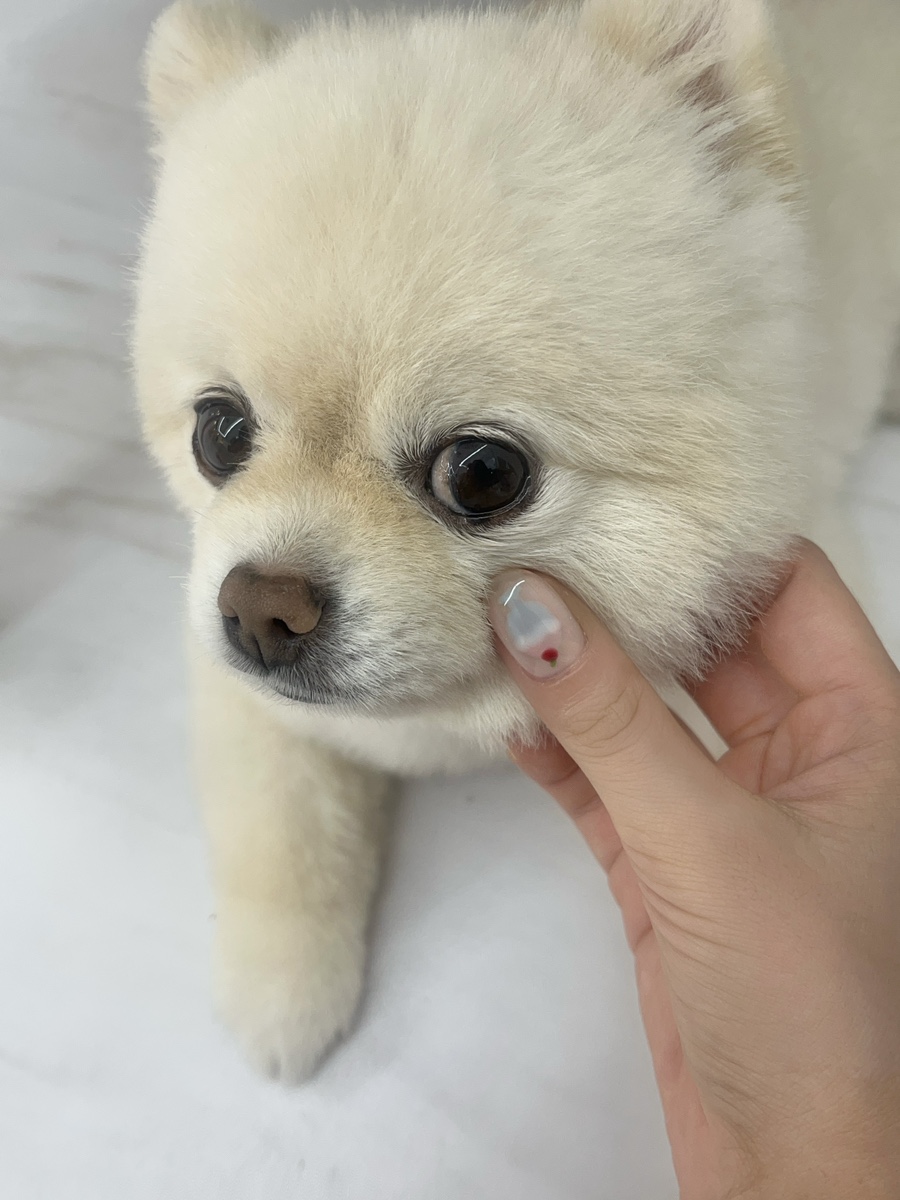 디어넬 뷰티 이미지