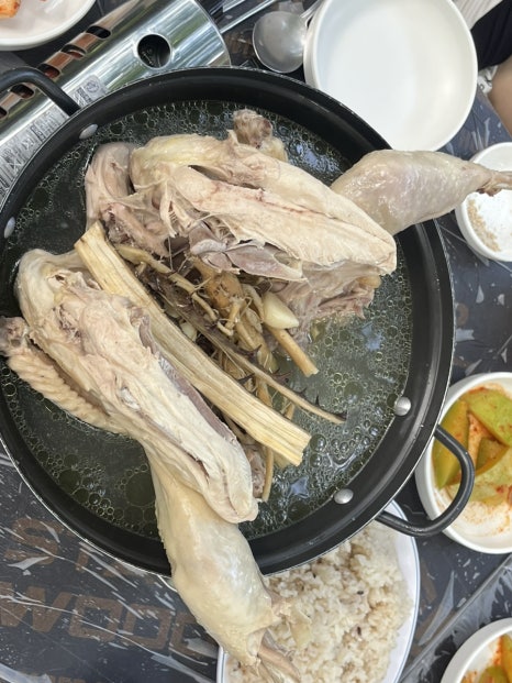 닭튜브 이미지