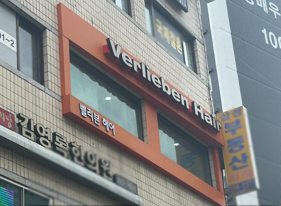 벨리븐 이미지