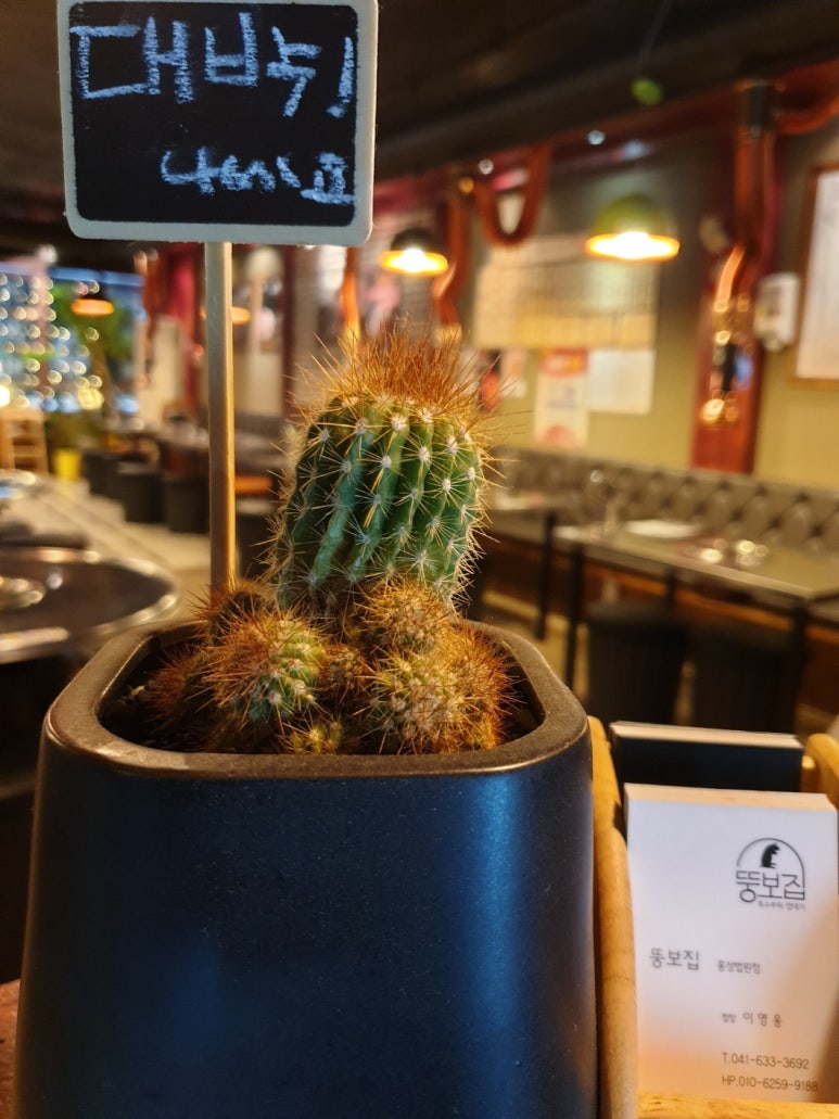 뚱보집홍성 이미지