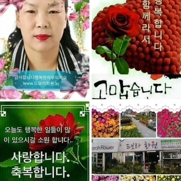 드보라화원 이미지