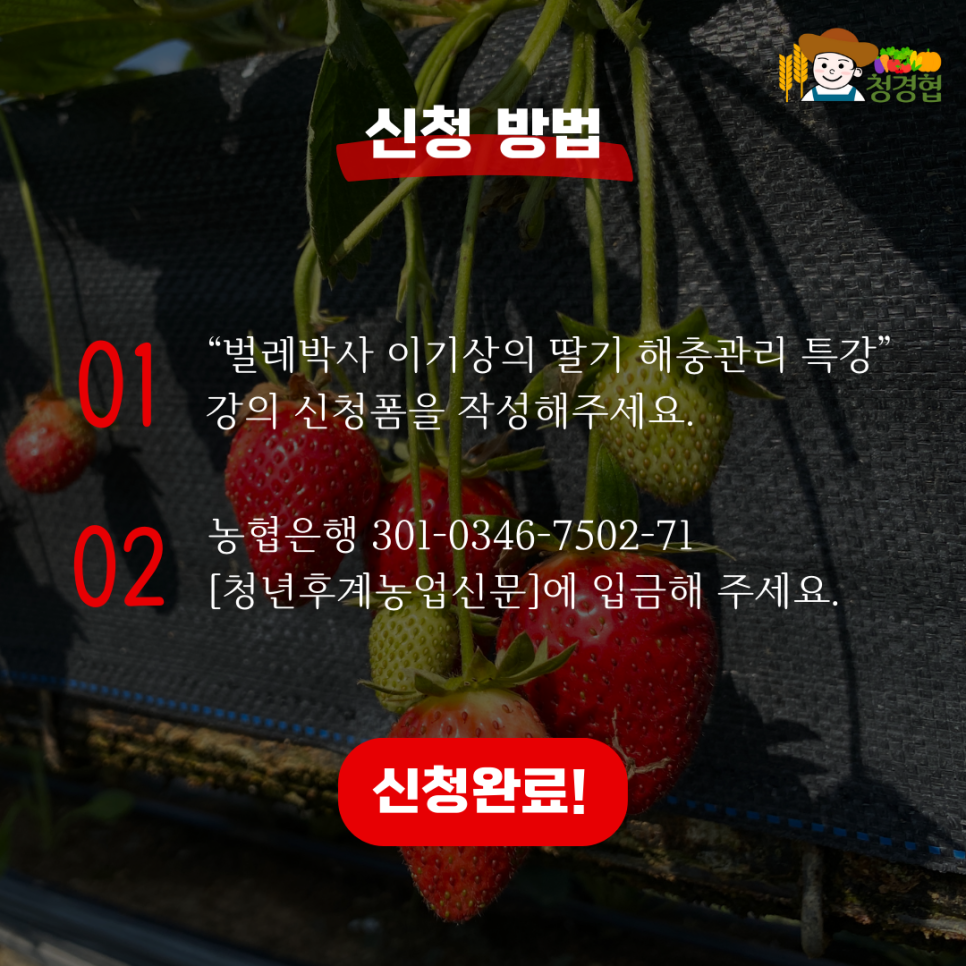 해충박사 이미지