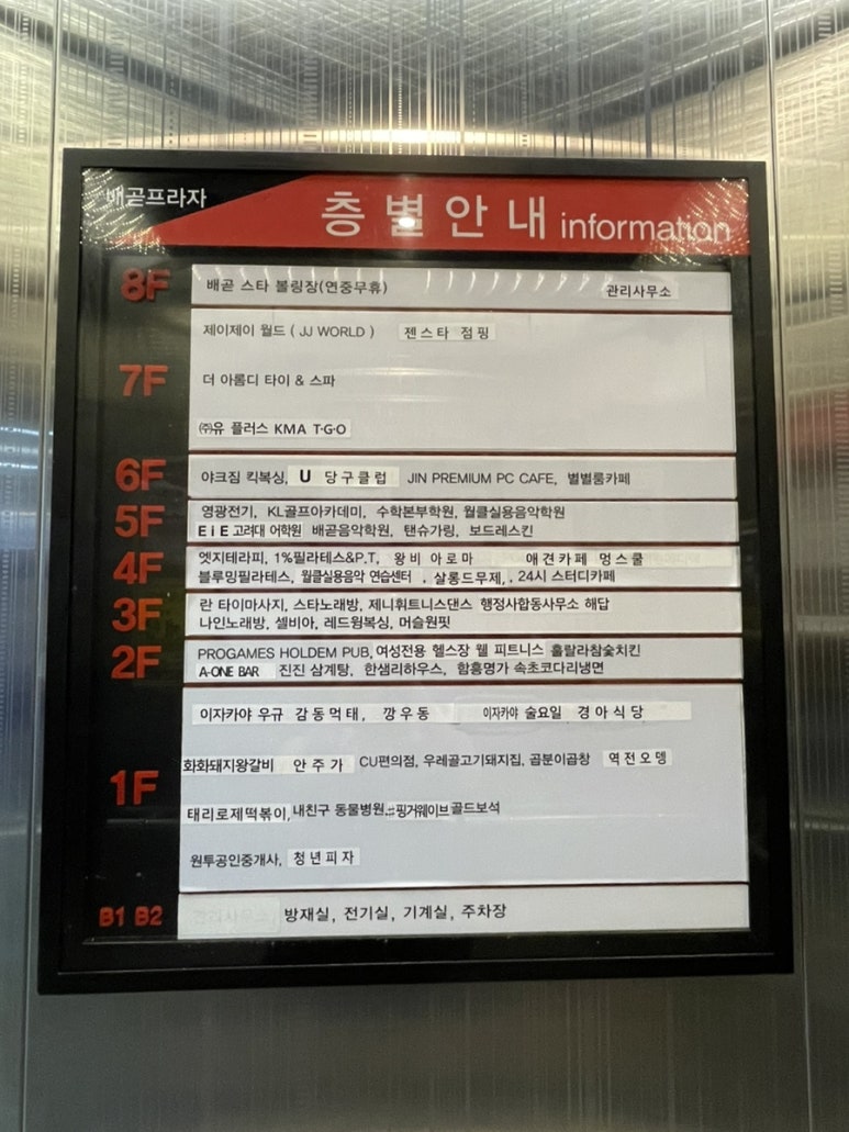 머슬원핏배곧 이미지