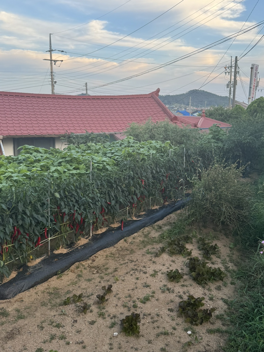 송림민박 이미지
