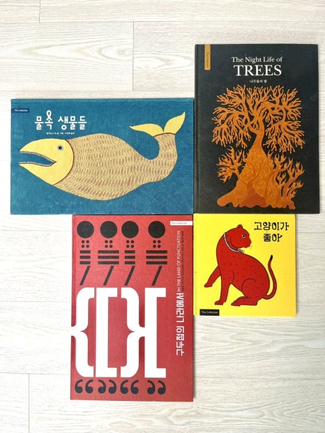 보림콜렉션 이미지