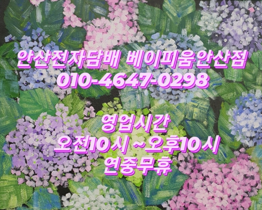 베이피움안산 이미지