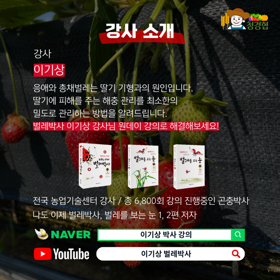 해충박사 이미지