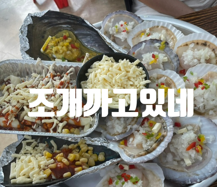 조개까고있네 이미지