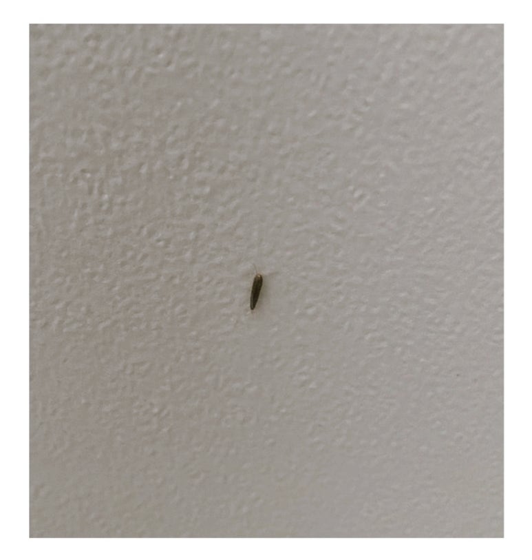 청춘청소방역 이미지