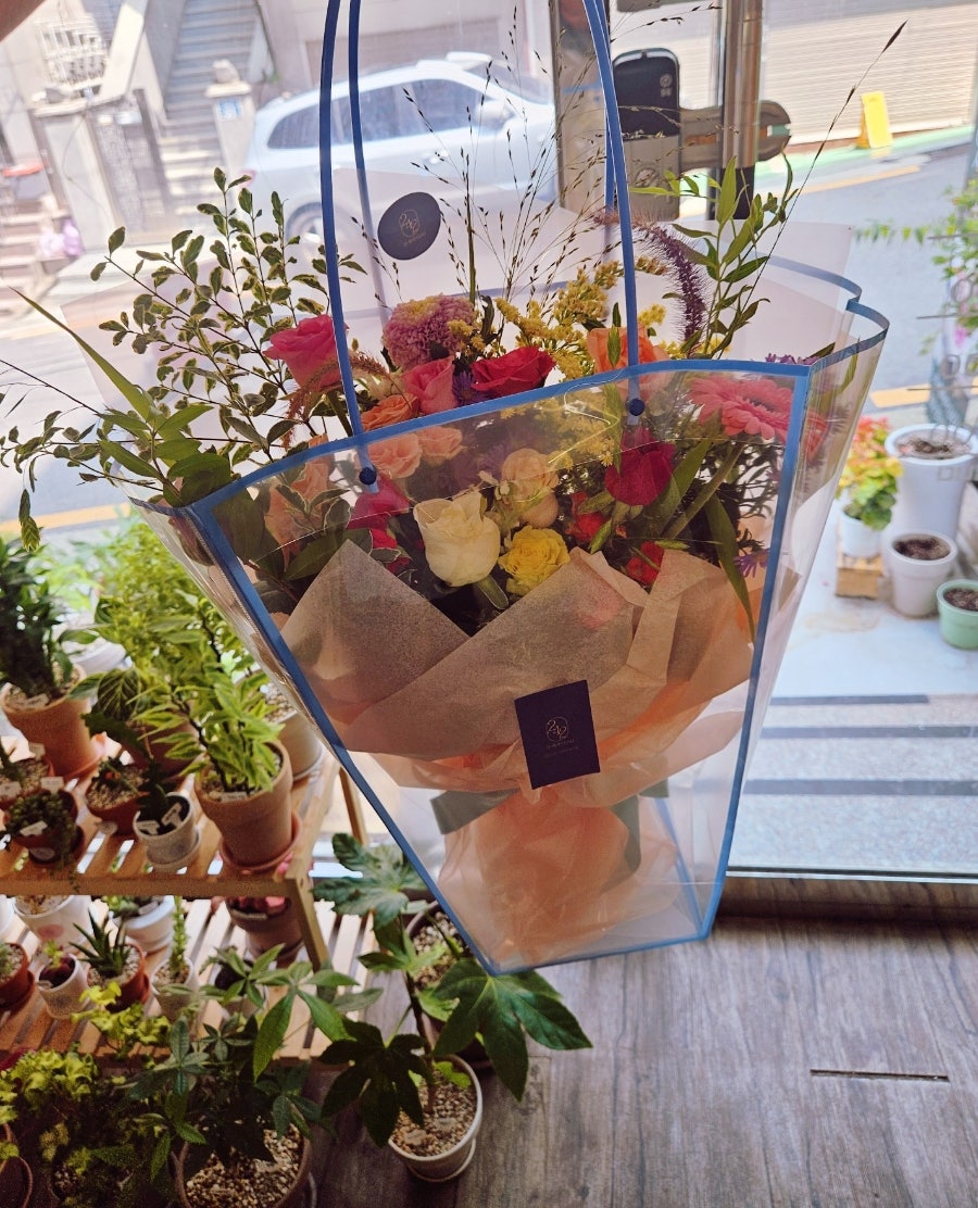 부케바이242 이미지