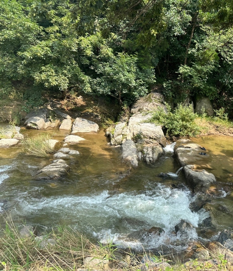 수동길170캠핑 이미지