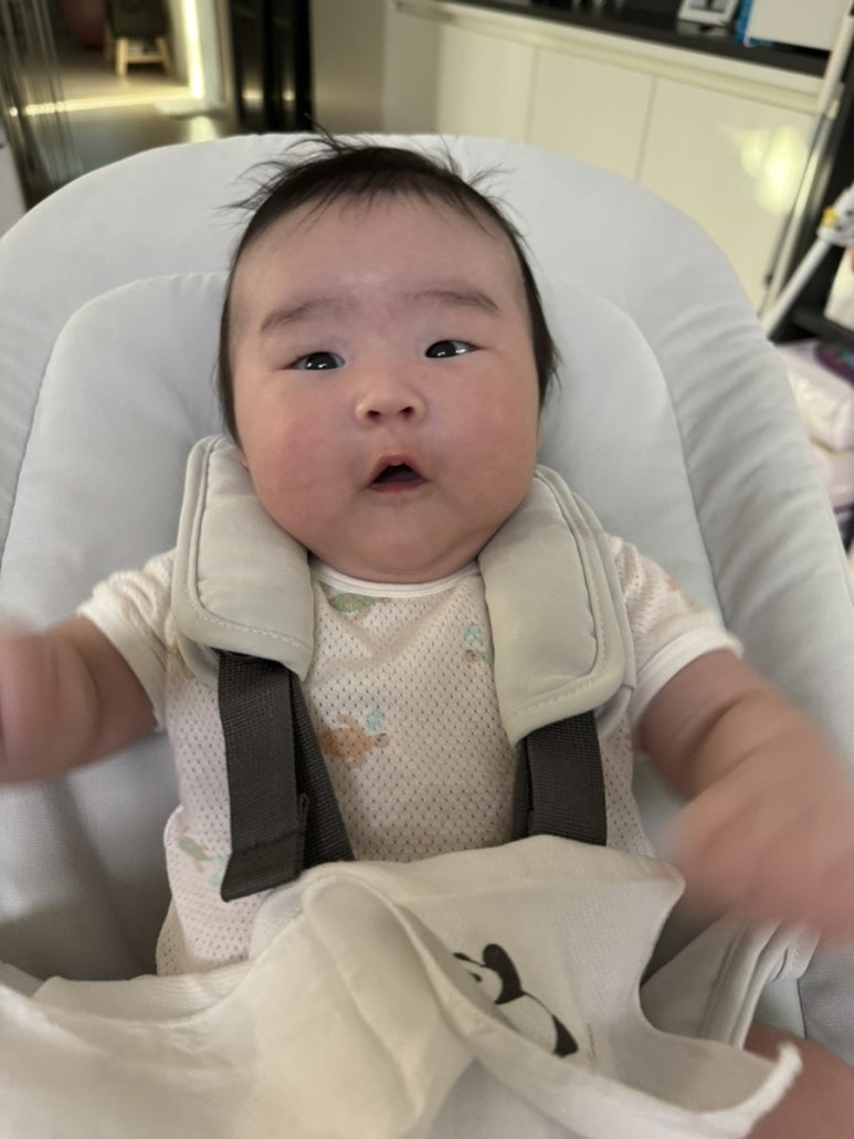 닥스베이비 이미지
