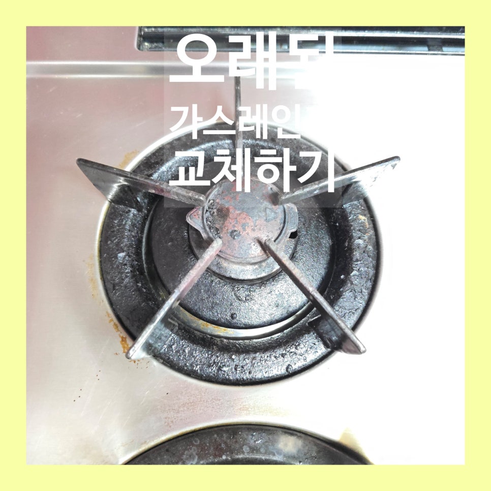 데이비드리페어 이미지