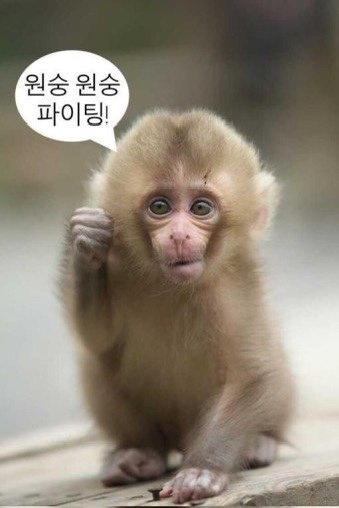카페 아이비 이미지