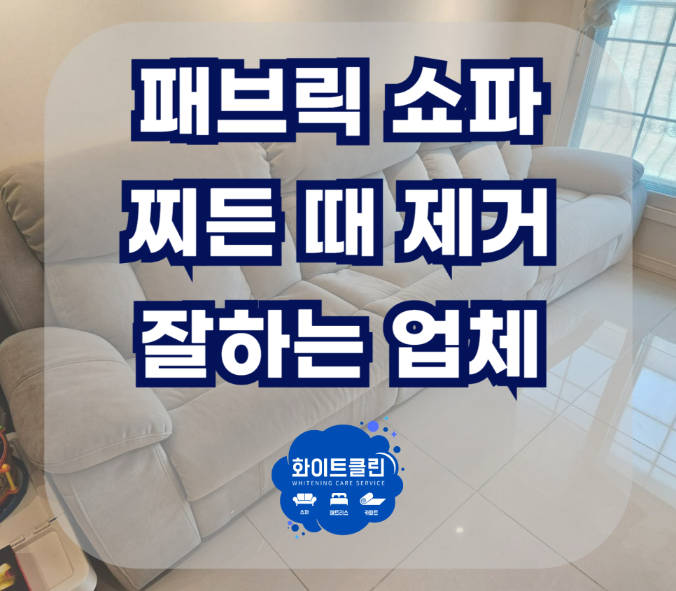 쇼파매트리스카페트청소화이트클린 이미지