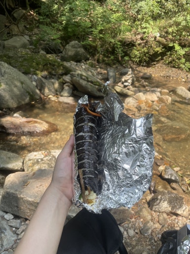 김밥나라청솔점 이미지