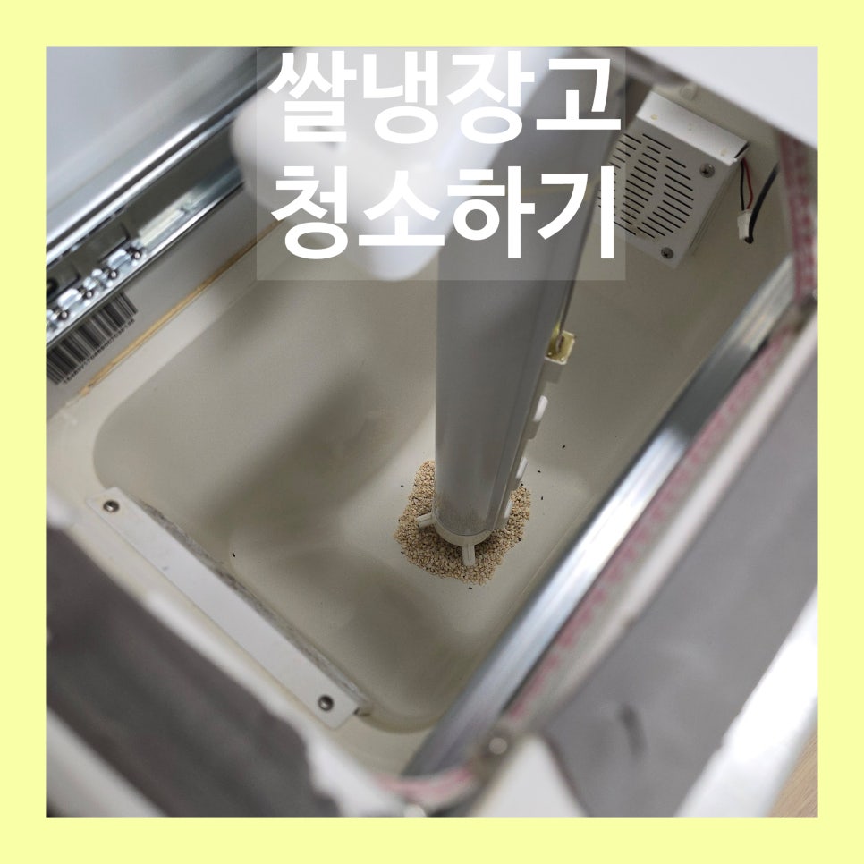 데이비드리페어 이미지