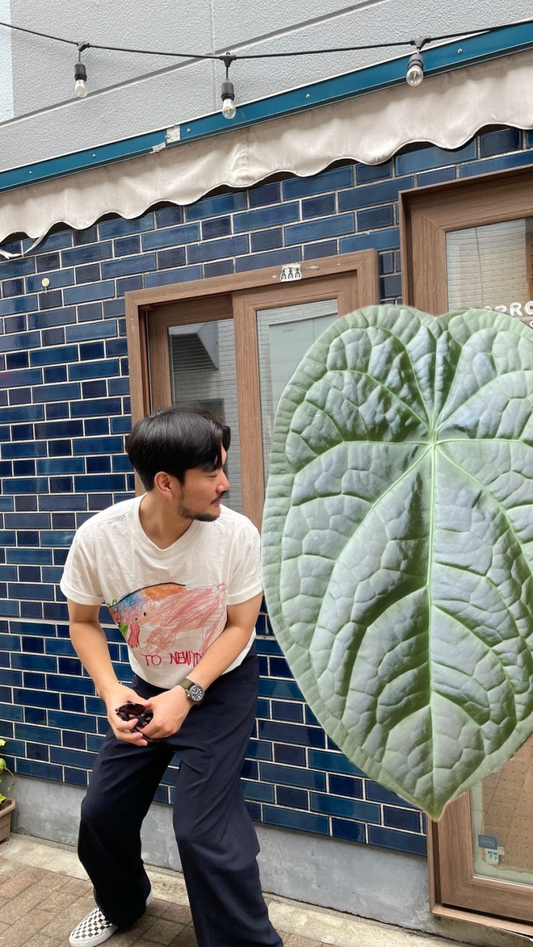 럭셔리컴 이미지