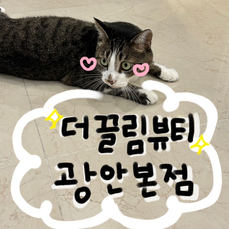 더끌림뷰티샵 이미지