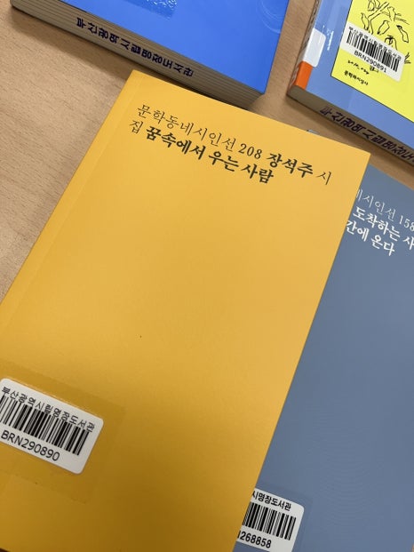 토마토노래연습장 이미지