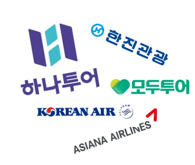 모아관광여행사 이미지