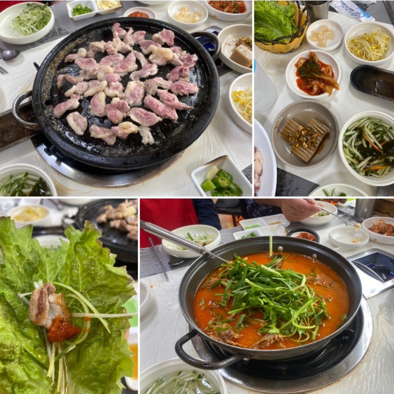햇살마루청둥오리 이미지