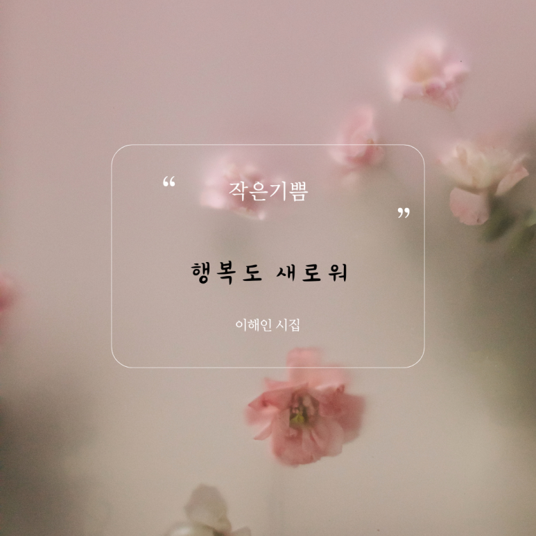 모모미 이미지