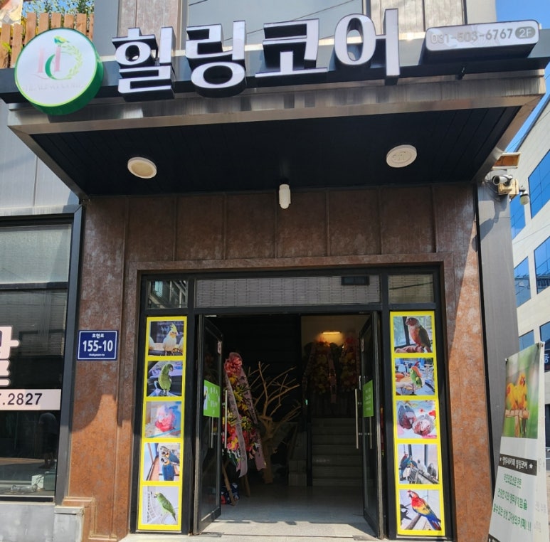 힐링코어 이미지
