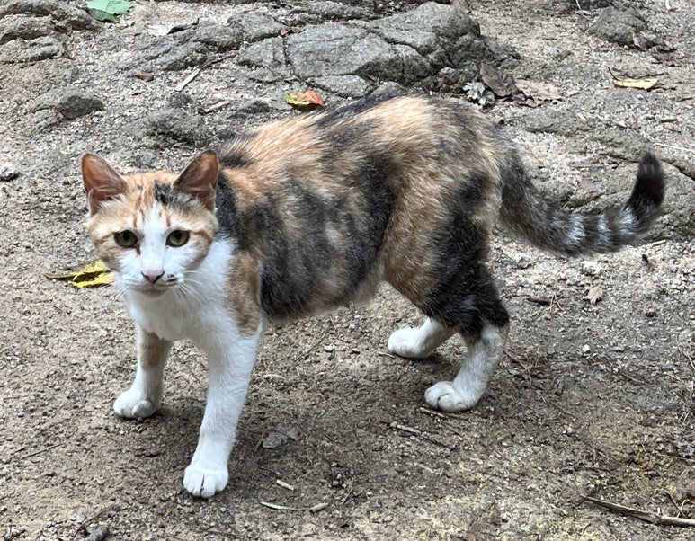 청화산업 이미지