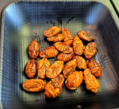 바다이야기회식당 이미지