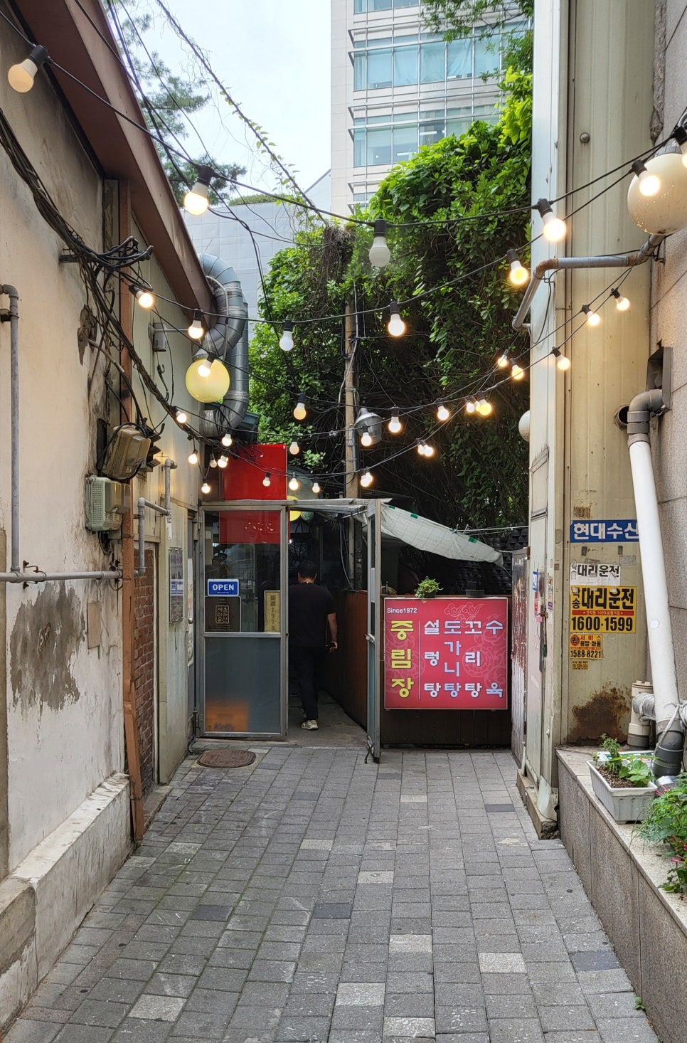 마포설렁탕 사진 8
