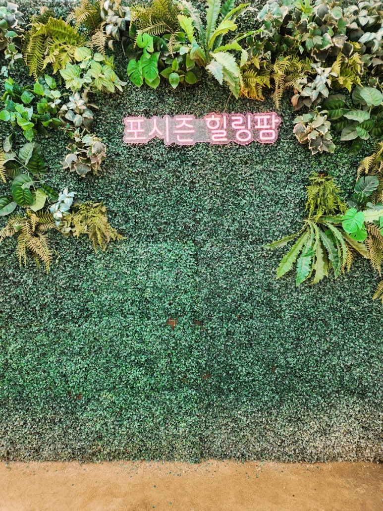 포시즌관광농원 이미지