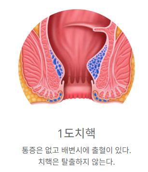 둔산이내훈의원 이미지
