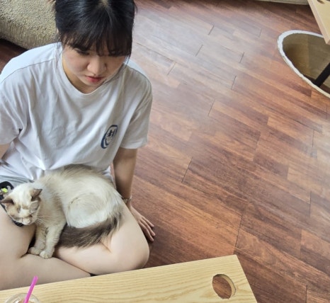 다빙카페 이미지