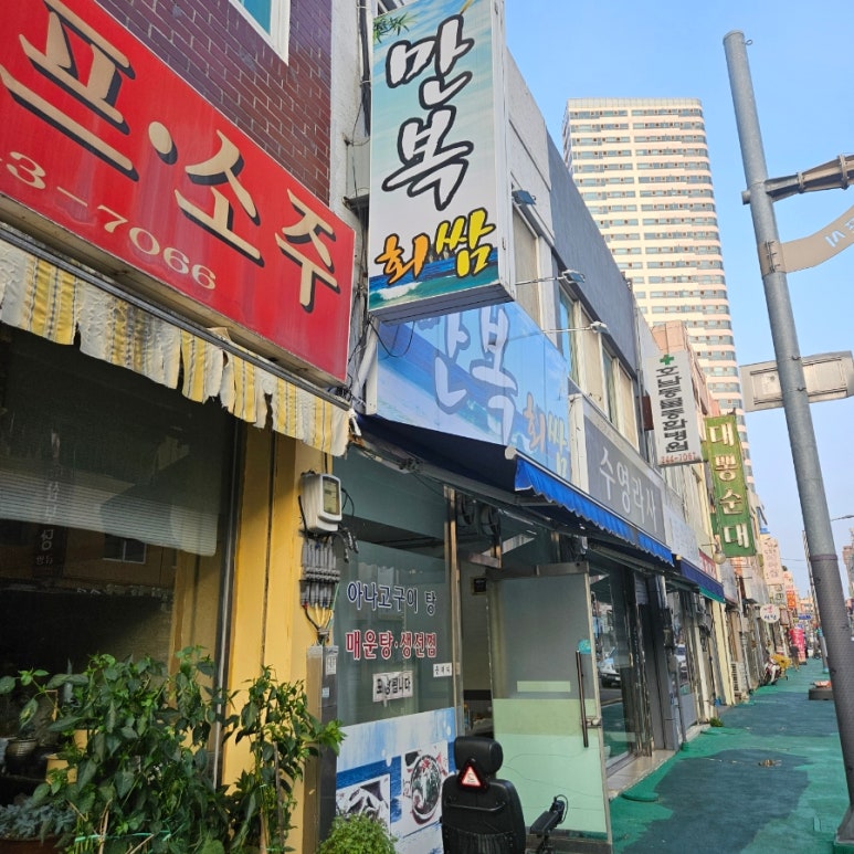 만복회쌈 이미지