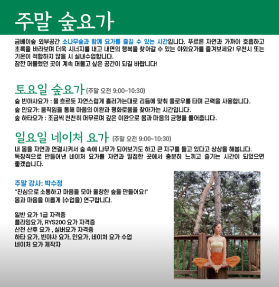 금베이숲 이미지