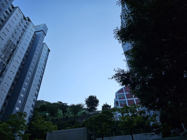 공립예원어린이집 이미지