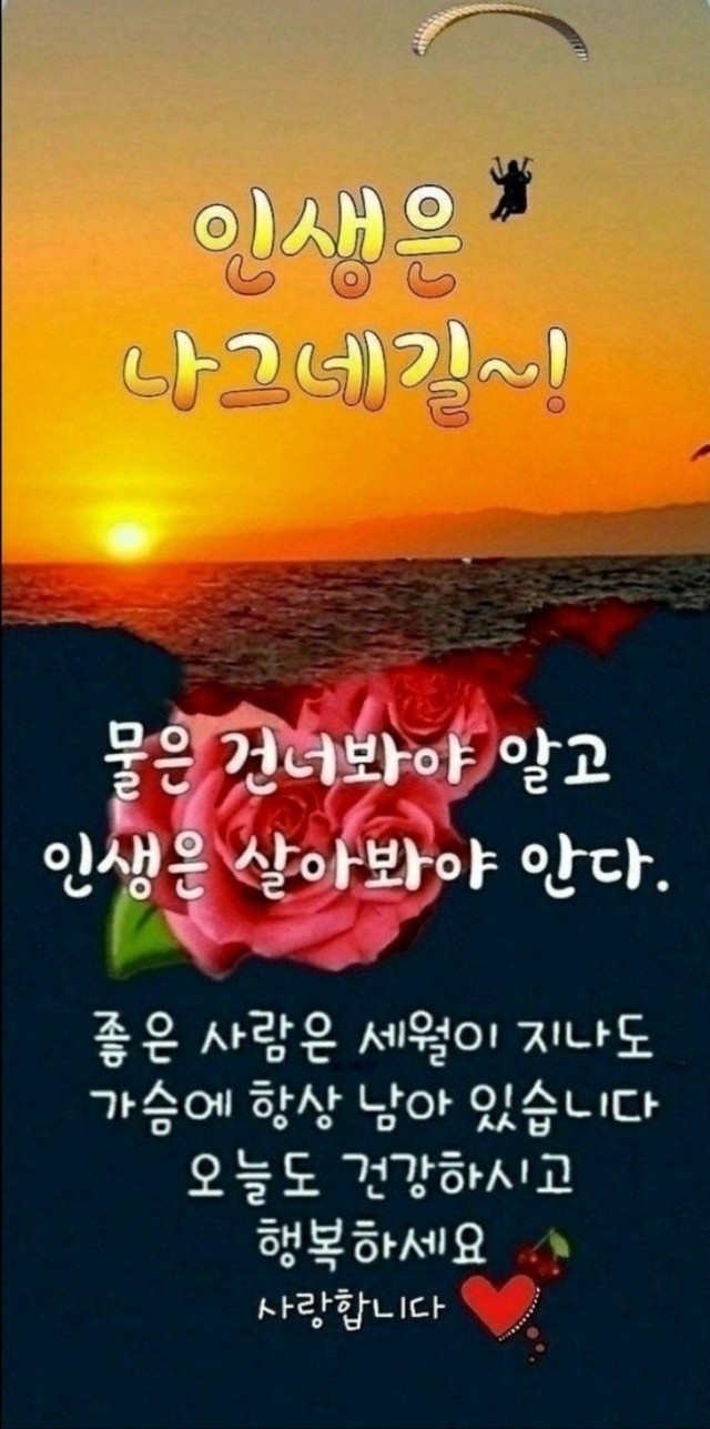 무씨 이미지