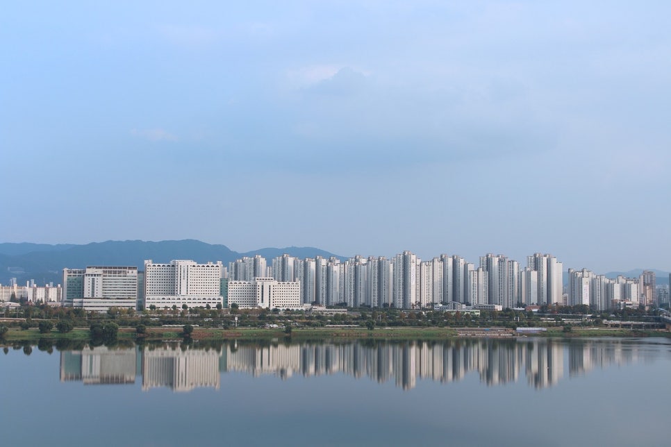 로이세무회계 이미지