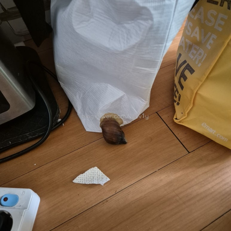 동래옛날팥빙수 남산점 이미지