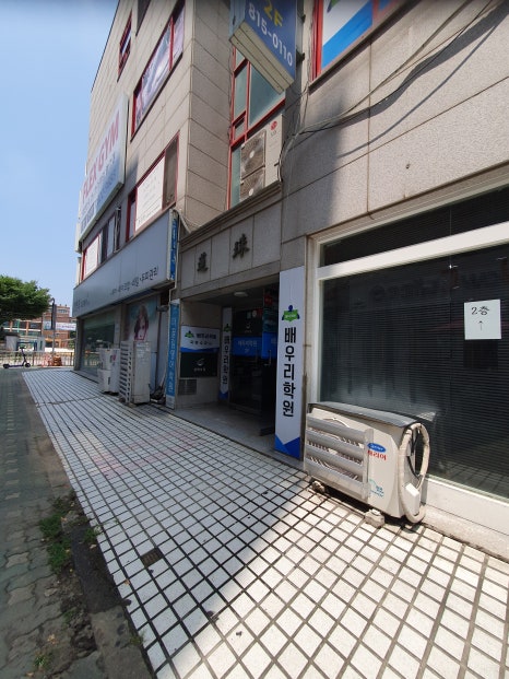 선학모밀 이미지