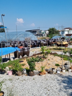 강화재순네식품 이미지