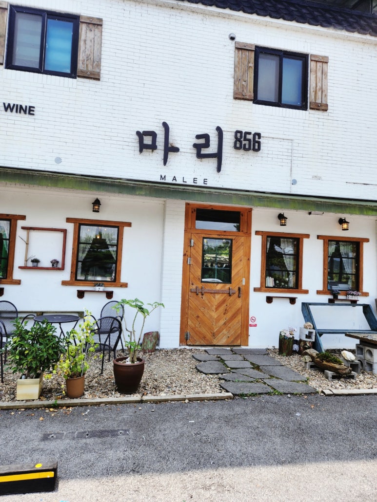 마리856 이미지