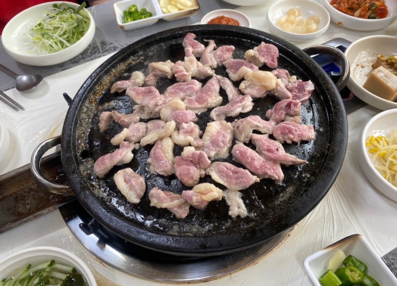 햇살마루청둥오리 이미지