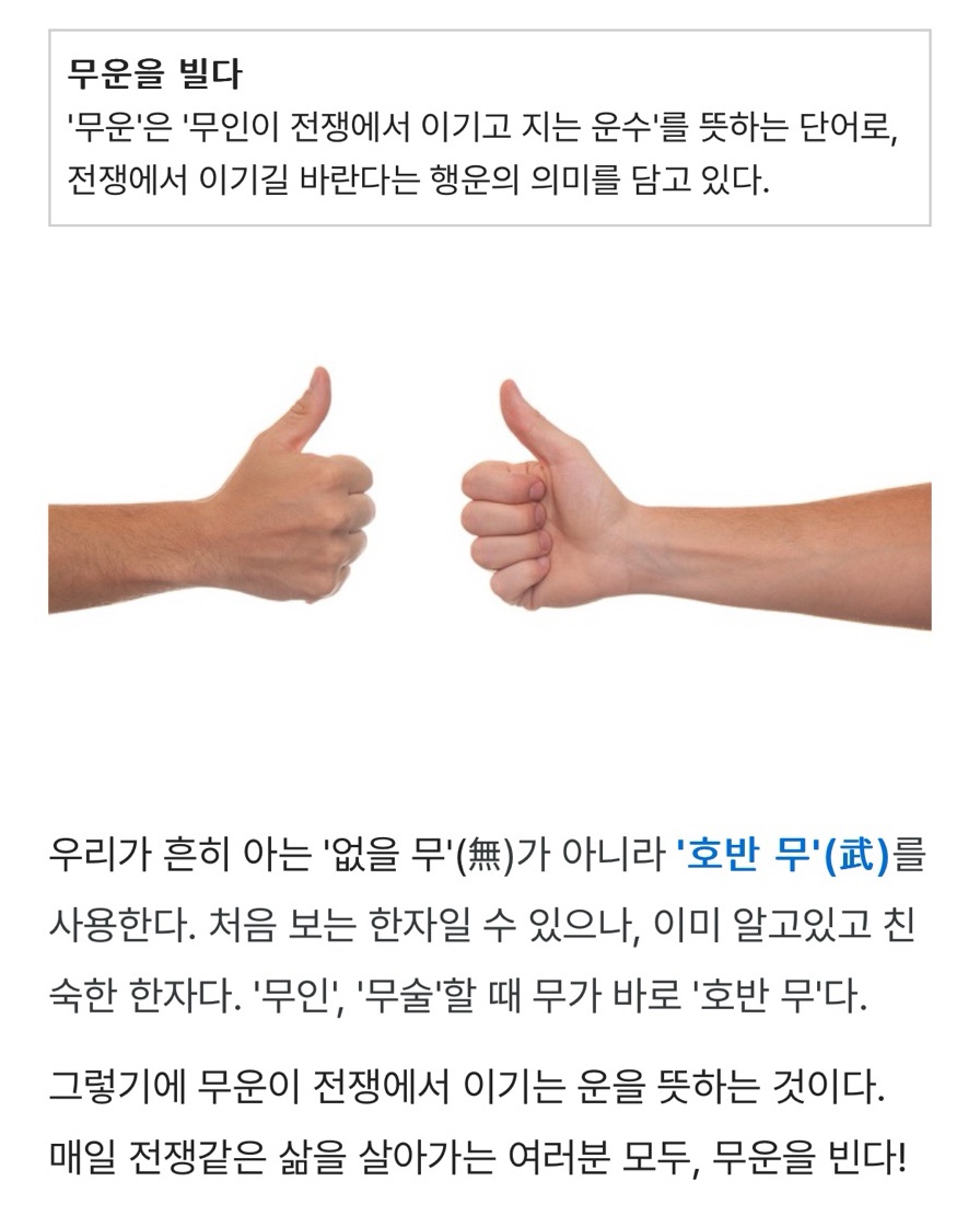 무운 이미지