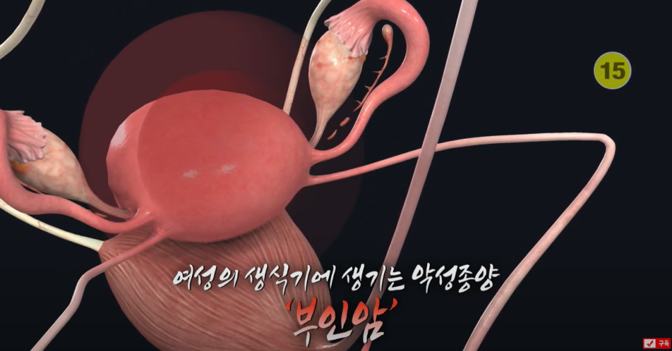 남경24시 이미지